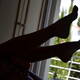 Feet