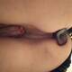 Anal plug 1